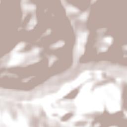 Camarones Terrain Map