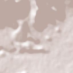 Puerto de Mejillones Terrain Map