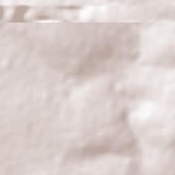 Paraíso das Águas Terrain Map