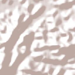 Itanhomi Terrain Map