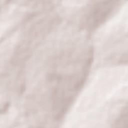 Lagoa Santa Terrain Map