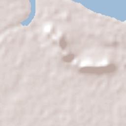 Bushland Beach Terrain Map