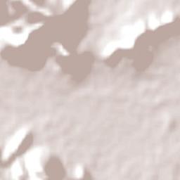 Alligator Creek Terrain Map