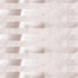 Rio Negro Terrain Map