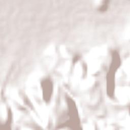 Provincia Ladislao Cabrera Terrain Map