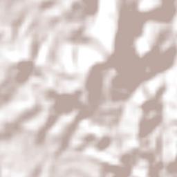 Fortuna de Minas Terrain Map