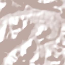 Coronel Fabriciano Terrain Map