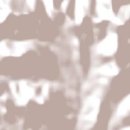 Sesfontein Constituency Terrain Map