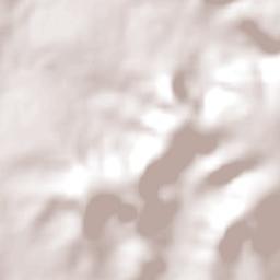 Comendador Gomes Terrain Map