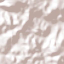 Leandro Ferreira Terrain Map