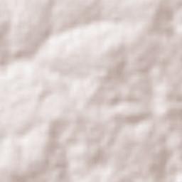 Carneirinho Terrain Map