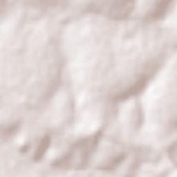 Campo Florido Terrain Map