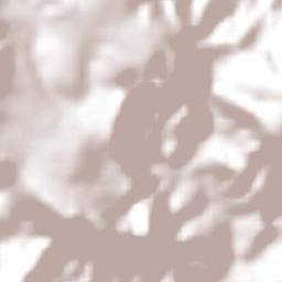 Onça de Pitangui Terrain Map