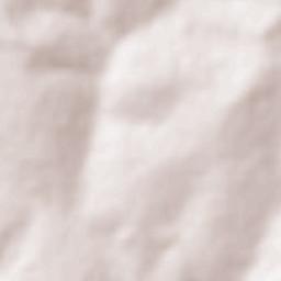 Itapagipe Terrain Map