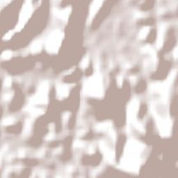 João Neiva Terrain Map