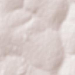 São Francisco de Sales Terrain Map