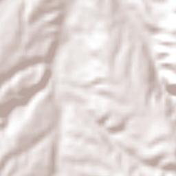 Provincia Linares Terrain Map