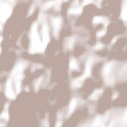 Florestal Terrain Map