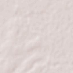 Capitán Pablo Lagerenza Terrain Map