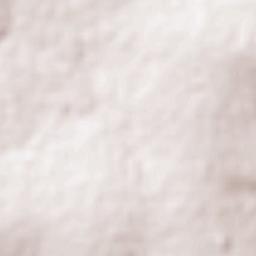 Conceição das Alagoas Terrain Map