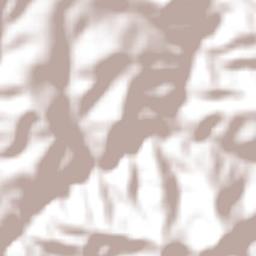 Medeiros Terrain Map