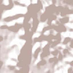 Raul Soares Terrain Map