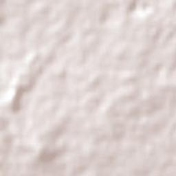 Roche Terre Terrain Map