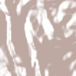 Catas Altas Terrain Map