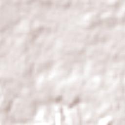 Pamplemousses Terrain Map