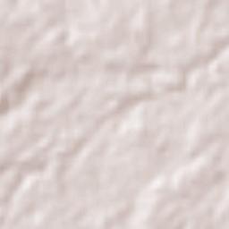 Rivière du Rempart Terrain Map