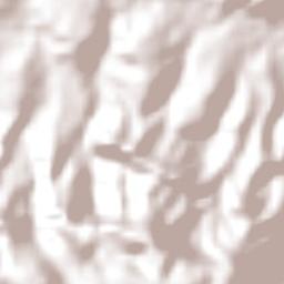 São Roque de Minas Terrain Map