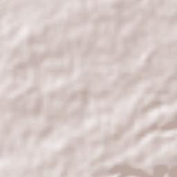 Bon Accueil Terrain Map