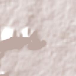 Ecroignard Terrain Map