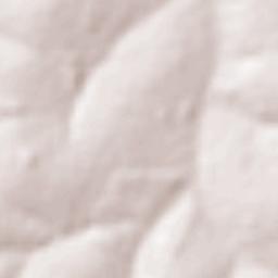 Palestina Terrain Map