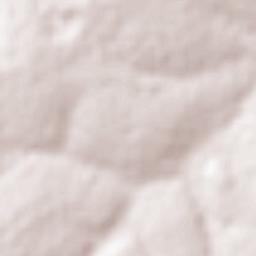 Colômbia Terrain Map