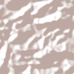 Barra Longa Terrain Map