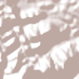 Cariacica Terrain Map