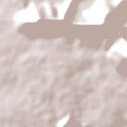 Sebastopol Terrain Map