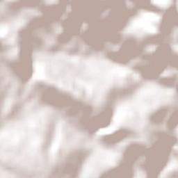 Delfinópolis Terrain Map