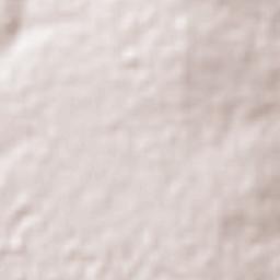 Campo Grande Terrain Map