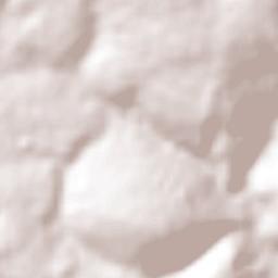 Córrego Fundo Terrain Map