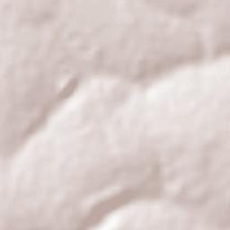 Barretos Terrain Map