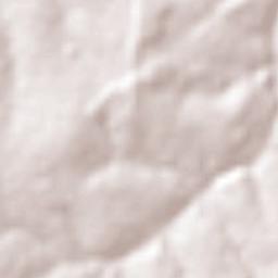 Onda Verde Terrain Map