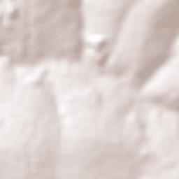 Orlândia Terrain Map