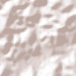 São Francisco de Paula Terrain Map