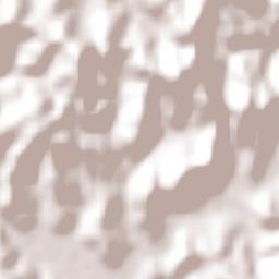 Oliveira Terrain Map