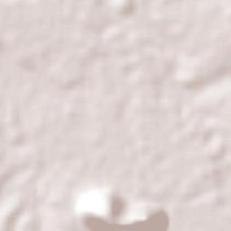 Anastácio Terrain Map