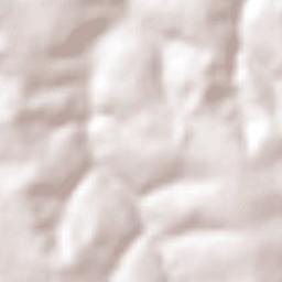 Severínia Terrain Map