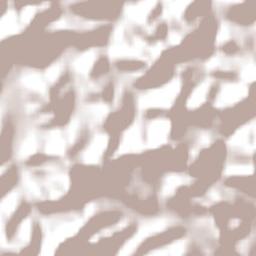 Senhora de Oliveira Terrain Map