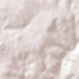 Neves Paulista Terrain Map